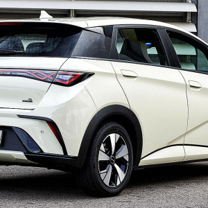  Byd Dolphin Trasero 1