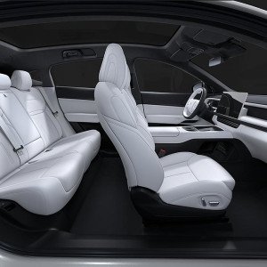  Xpeng G6 Intérieur 2